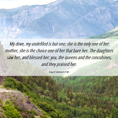 Picture 06 - Song of Solomon 6:9 KJV - My dove, my undefiled is but one; she is the only - Bible Verse Picture