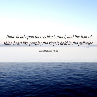 Picture 06 - Song of Solomon 7:5 KJV - Thine head upon thee is like Carmel, and the hair - Bible Verse Picture