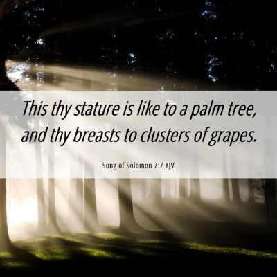 Picture 06 - Song of Solomon 7:7 KJV - This thy stature is like to a palm tree, and thy - Bible Verse Picture