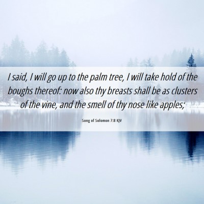 Picture 06 - Song of Solomon 7:8 KJV - I said, I will go up to the palm tree, I will - Bible Verse Picture