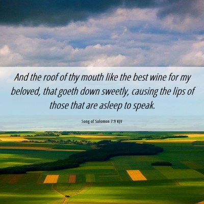 Picture 06 - Song of Solomon 7:9 KJV - And the roof of thy mouth like the best wine for - Bible Verse Picture
