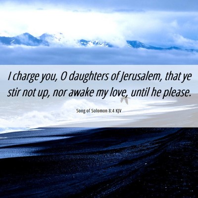 Picture 06 - Song of Solomon 8:4 KJV - I charge you, O daughters of Jerusalem, that ye - Bible Verse Picture