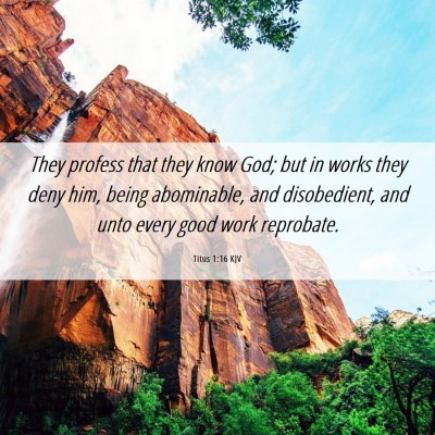 Picture 06 - Titus 1:16 KJV - They profess that they know God; but in works - Bible Verse Picture