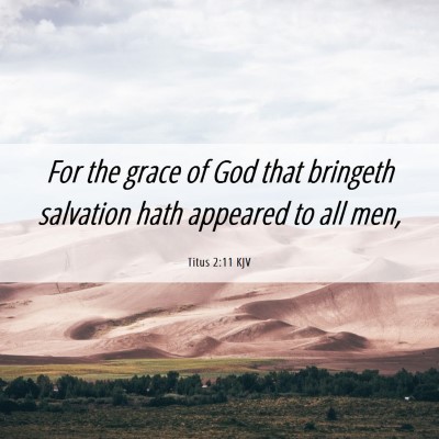 Picture 06 - Titus 2:11 KJV - For the grace of God that bringeth salvation hath - Bible Verse Picture
