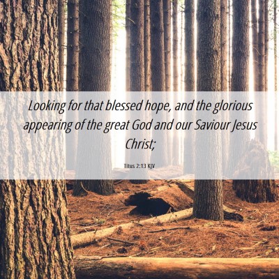 Picture 06 - Titus 2:13 KJV - Looking for that blessed hope, and the glorious - Bible Verse Picture