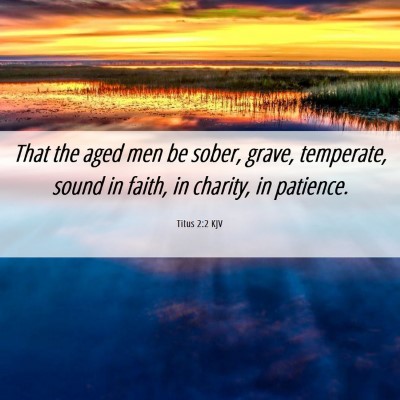 Picture 06 - Titus 2:2 KJV - That the aged men be sober, grave, temperate, - Bible Verse Picture