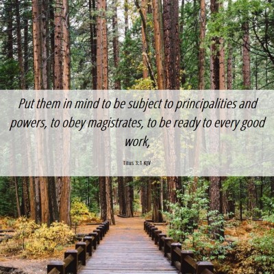 Picture 06 - Titus 3:1 KJV - Put them in mind to be subject to principalities - Bible Verse Picture