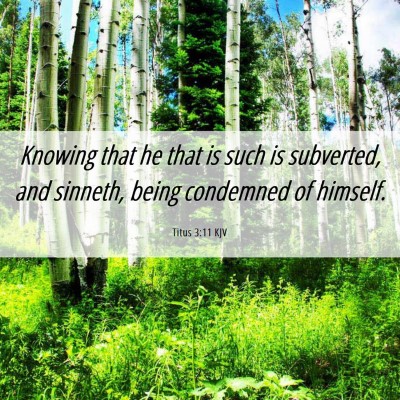 Picture 06 - Titus 3:11 KJV - Knowing that he that is such is subverted, and - Bible Verse Picture