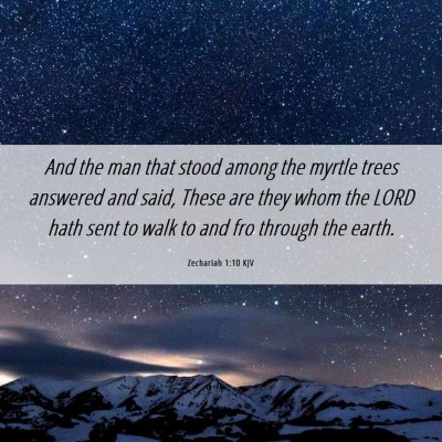 Picture 06 - Zechariah 1:10 KJV - And the man that stood among the myrtle trees - Bible Verse Picture
