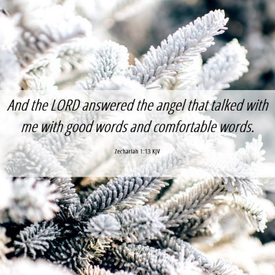 Picture 06 - Zechariah 1:13 KJV - And the LORD answered the angel that talked with - Bible Verse Picture