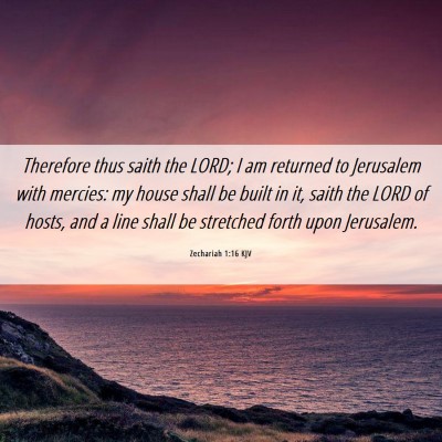 Picture 06 - Zechariah 1:16 KJV - Therefore thus saith the LORD; I am returned to - Bible Verse Picture