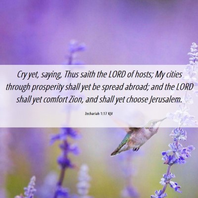 Picture 06 - Zechariah 1:17 KJV - Cry yet, saying, Thus saith the LORD of hosts; My - Bible Verse Picture
