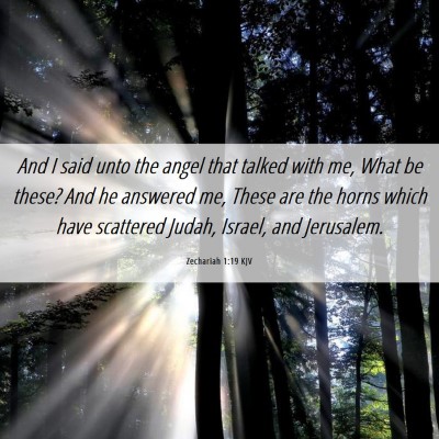 Picture 06 - Zechariah 1:19 KJV - And I said unto the angel that talked with me, - Bible Verse Picture