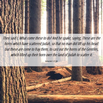 Picture 06 - Zechariah 1:21 KJV - Then said I, What come these to do? And he spake, - Bible Verse Picture