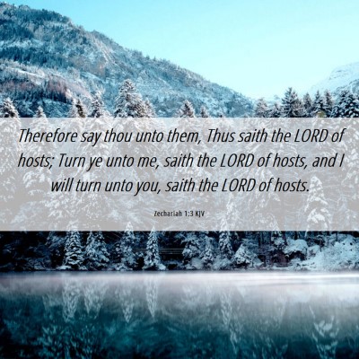 Picture 06 - Zechariah 1:3 KJV - Therefore say thou unto them, Thus saith the LORD - Bible Verse Picture