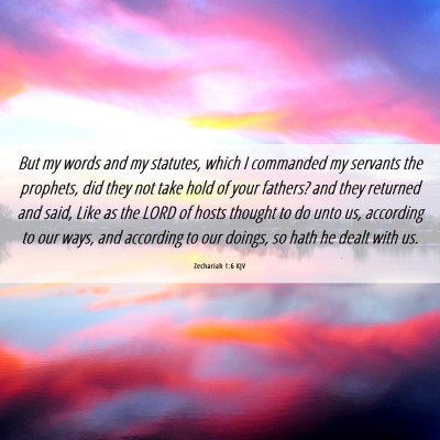 Picture 06 - Zechariah 1:6 KJV - But my words and my statutes, which I commanded - Bible Verse Picture