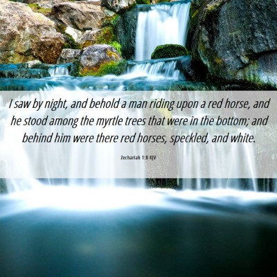 Picture 06 - Zechariah 1:8 KJV - I saw by night, and behold a man riding upon a - Bible Verse Picture