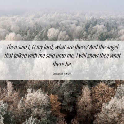 Picture 06 - Zechariah 1:9 KJV - Then said I, O my lord, what are these? And the - Bible Verse Picture