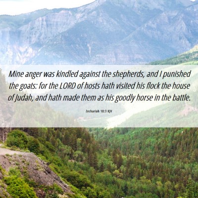 Picture 06 - Zechariah 10:3 KJV - Mine anger was kindled against the shepherds, and - Bible Verse Picture