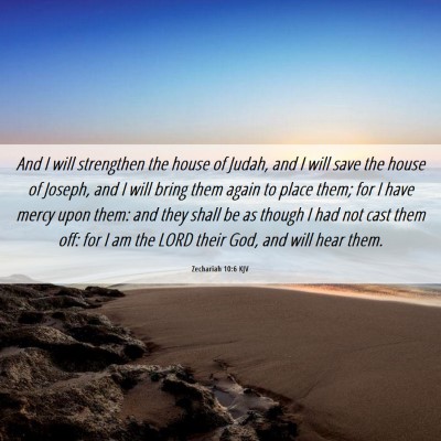 Picture 06 - Zechariah 10:6 KJV - And I will strengthen the house of Judah, and I - Bible Verse Picture