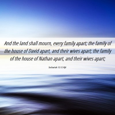 Picture 06 - Zechariah 12:12 KJV - And the land shall mourn, every family apart; the - Bible Verse Picture