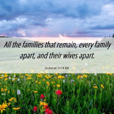 Picture 06 - Zechariah 12:14 KJV - All the families that remain, every family apart, - Bible Verse Picture