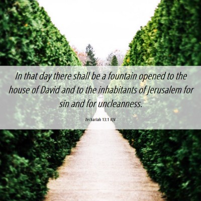 Picture 06 - Zechariah 13:1 KJV - In that day there shall be a fountain opened to - Bible Verse Picture