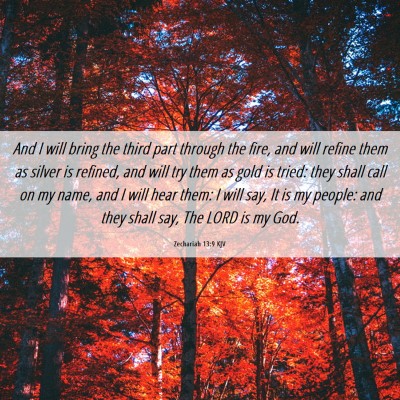 Picture 06 - Zechariah 13:9 KJV - And I will bring the third part through the fire, - Bible Verse Picture