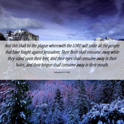 Picture 06 - Zechariah 14:12 KJV - And this shall be the plague wherewith the LORD - Bible Verse Picture