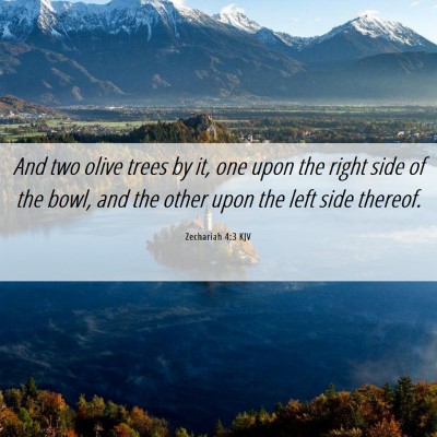 Picture 06 - Zechariah 4:3 KJV - And two olive trees by it, one upon the right - Bible Verse Picture