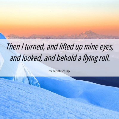 Picture 06 - Zechariah 5:1 KJV - Then I turned, and lifted up mine eyes, and - Bible Verse Picture