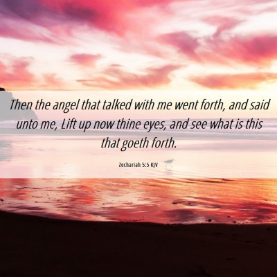 Picture 06 - Zechariah 5:5 KJV - Then the angel that talked with me went forth, - Bible Verse Picture