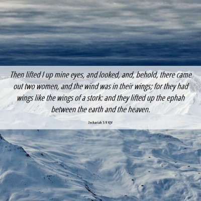 Picture 06 - Zechariah 5:9 KJV - Then lifted I up mine eyes, and looked, and, - Bible Verse Picture