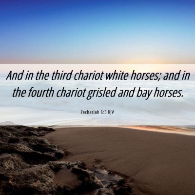 Picture 06 - Zechariah 6:3 KJV - And in the third chariot white horses; and in the - Bible Verse Picture
