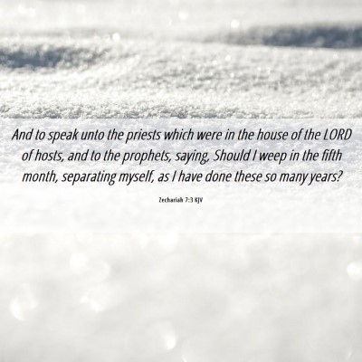 Picture 06 - Zechariah 7:3 KJV - And to speak unto the priests which were in the - Bible Verse Picture