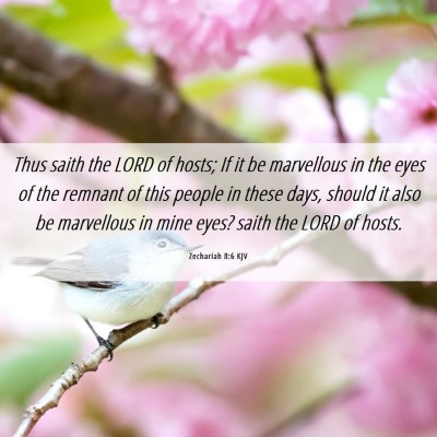 Picture 06 - Zechariah 8:6 KJV - Thus saith the LORD of hosts; If it be marvellous - Bible Verse Picture