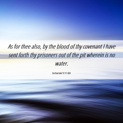 Picture 06 - Zechariah 9:11 KJV - As for thee also, by the blood of thy covenant I - Bible Verse Picture