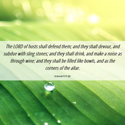 Picture 06 - Zechariah 9:15 KJV - The LORD of hosts shall defend them; and they - Bible Verse Picture