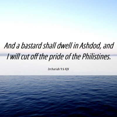 Picture 06 - Zechariah 9:6 KJV - And a bastard shall dwell in Ashdod, and I will - Bible Verse Picture