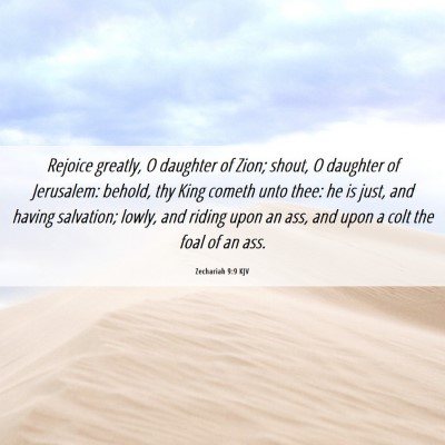 Picture 06 - Zechariah 9:9 KJV - Rejoice greatly, O daughter of Zion; shout, O - Bible Verse Picture