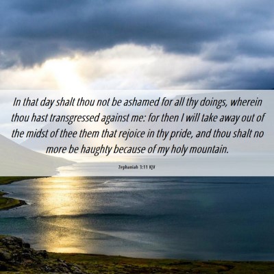Picture 06 - Zephaniah 3:11 KJV - In that day shalt thou not be ashamed for all thy - Bible Verse Picture