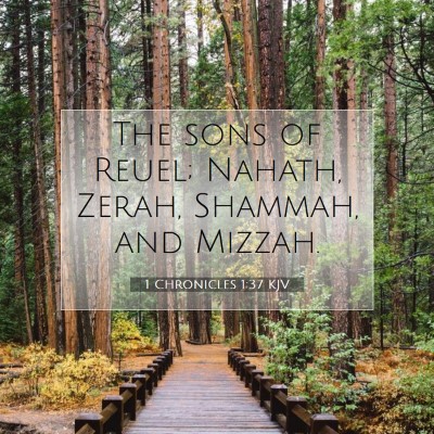 Picture 07 - 1 Chronicles 1:37 KJV - The sons of Reuel; Nahath, Zerah, Shammah, and - Bible Verse Picture