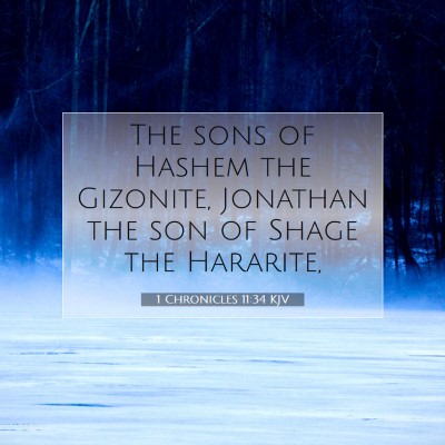 Picture 07 - 1 Chronicles 11:34 KJV - The sons of Hashem the Gizonite, Jonathan the son - Bible Verse Picture