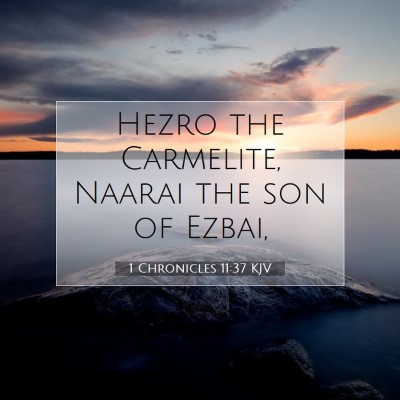 Picture 07 - 1 Chronicles 11:37 KJV - Hezro the Carmelite, Naarai the son of - Bible Verse Picture