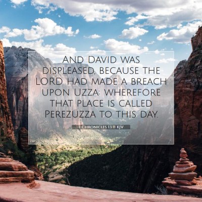 Picture 07 - 1 Chronicles 13:11 KJV - And David was displeased, because the LORD had - Bible Verse Picture
