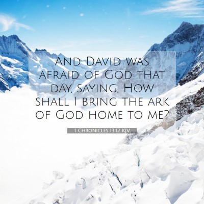 Picture 07 - 1 Chronicles 13:12 KJV - And David was afraid of God that day, saying, How - Bible Verse Picture