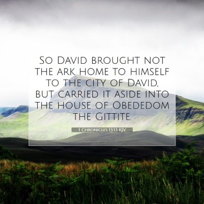 Picture 07 - 1 Chronicles 13:13 KJV - So David brought not the ark home to himself to - Bible Verse Picture