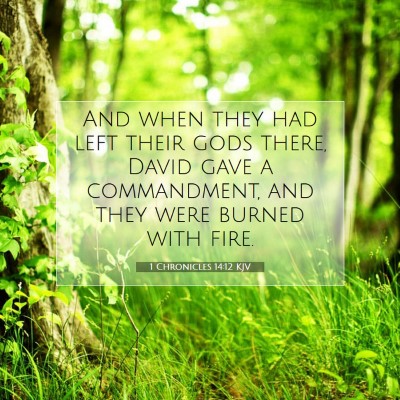 Picture 07 - 1 Chronicles 14:12 KJV - And when they had left their gods there, David - Bible Verse Picture