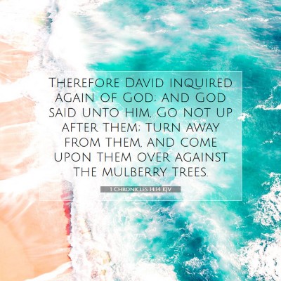 Picture 07 - 1 Chronicles 14:14 KJV - Therefore David inquired again of God; and God - Bible Verse Picture