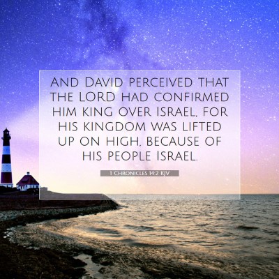 Picture 07 - 1 Chronicles 14:2 KJV - And David perceived that the LORD had confirmed - Bible Verse Picture